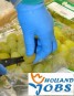 Holandia-Praca na produkcji dla Pań i Panów Holandia-Praca na produkcji dla Pań i Panów