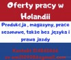 OFERTY PRACY W HOLANDII. TAKŻE BEZ JĘZYKA. OFERTY PRACY W HOLANDII. TAKŻE BEZ JĘZYKA.