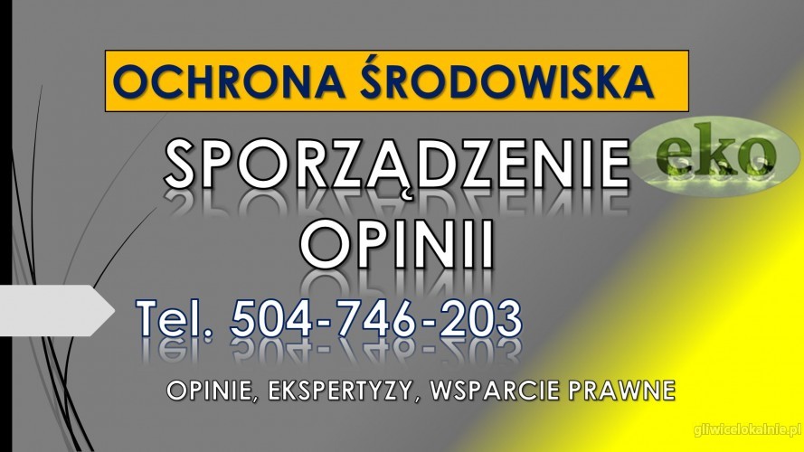 5_Regionalna_dyrekcja_ochrony_srodowiska_uzupelnienie_odpowiedz.jpg