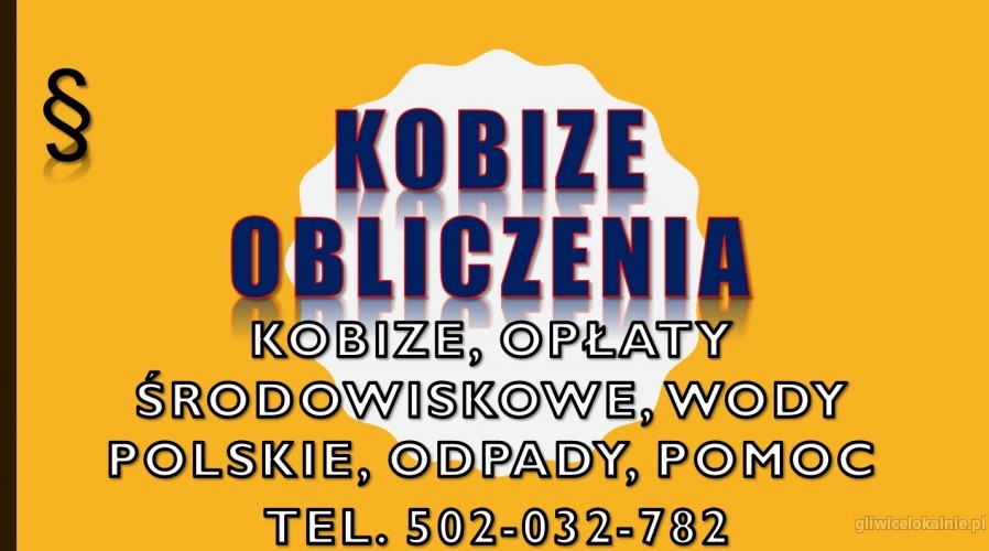 5_szkolenie_wewnetrze_zamkniete_raportu_kobize.jpg