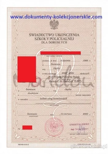 Szkoła Średnie z wpisem, Matura z wpisem