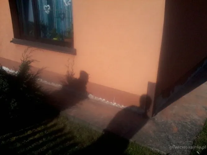 skuteczne-usuwanie-wilgoci-w-piwnicach-na-slasku-i-w-malopolsce-65163-gliwice.webp