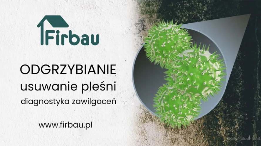 izolacje-wodochronne-osuszanie-profesjonalna-diagnostyka-65668-budowa-remont.webp